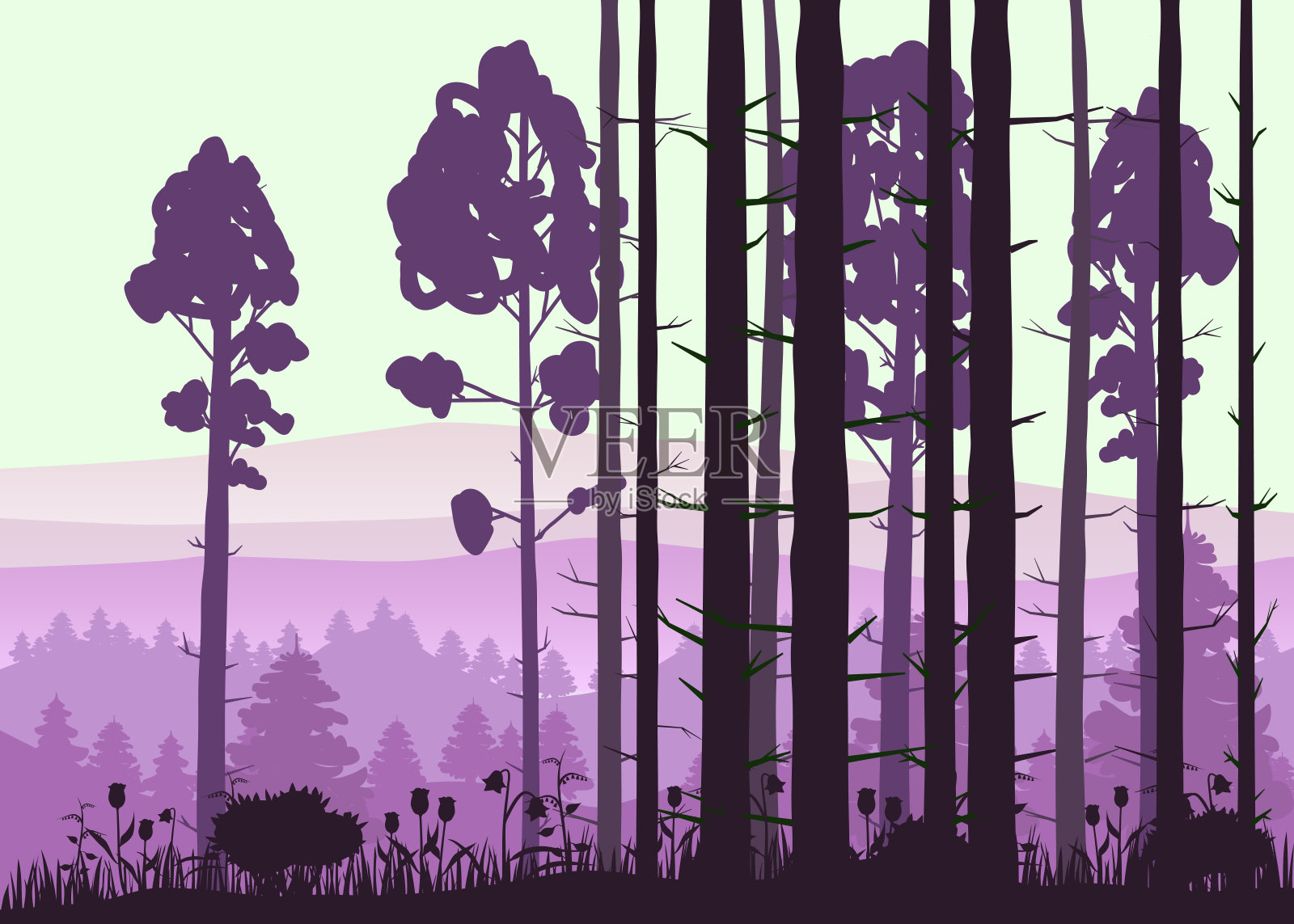 森林景观极简主义插图。松树树剪影。自然场景。现实色彩背景与剪影，树木，松树，冷杉，自然，山，草和花，环境，地平线，全景。雾林早上或晚上。向量插画图片素材