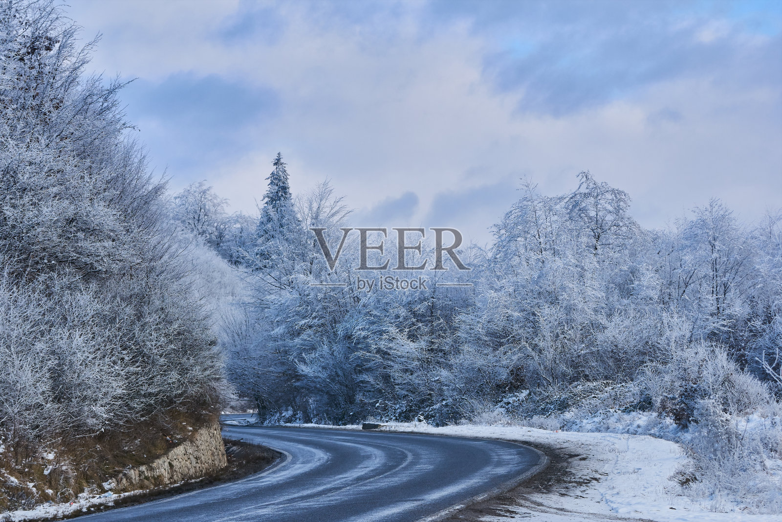 冬天的风景与黑色的道路通过树木与雪照片摄影图片
