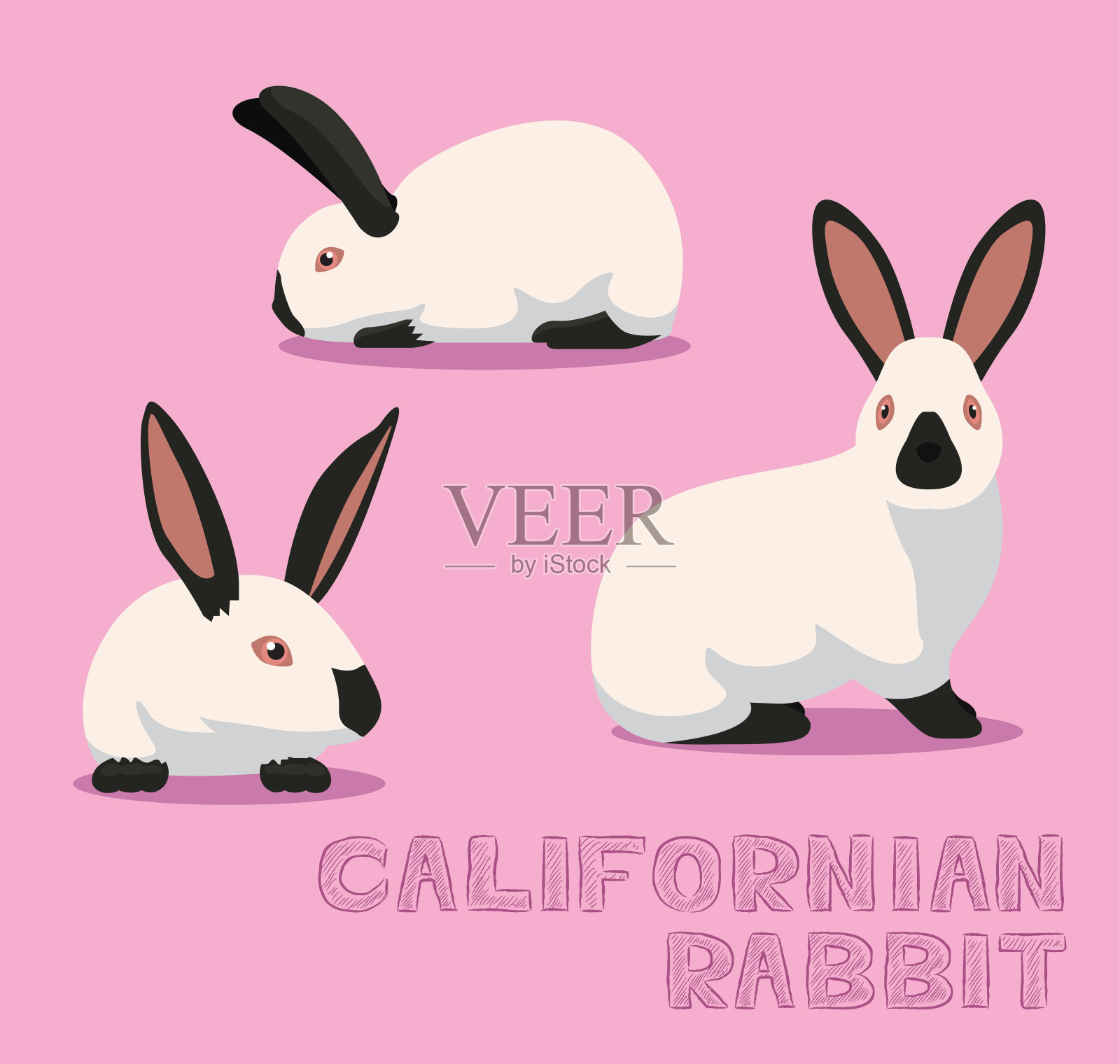 兔子加利福尼亚卡通矢量插图设计元素图片