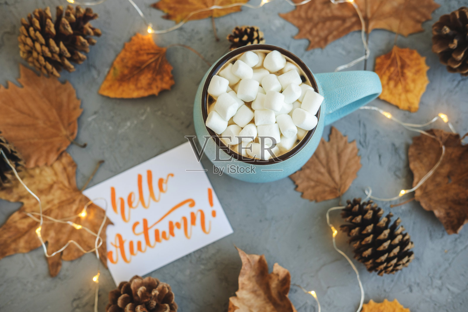 蓝色杯子，咖啡，热巧克力或可可与棉花糖在灰色的混凝土背景和躺干树叶，锥形，花环，标志你好秋天。温暖舒适的秋天概念。照片摄影图片