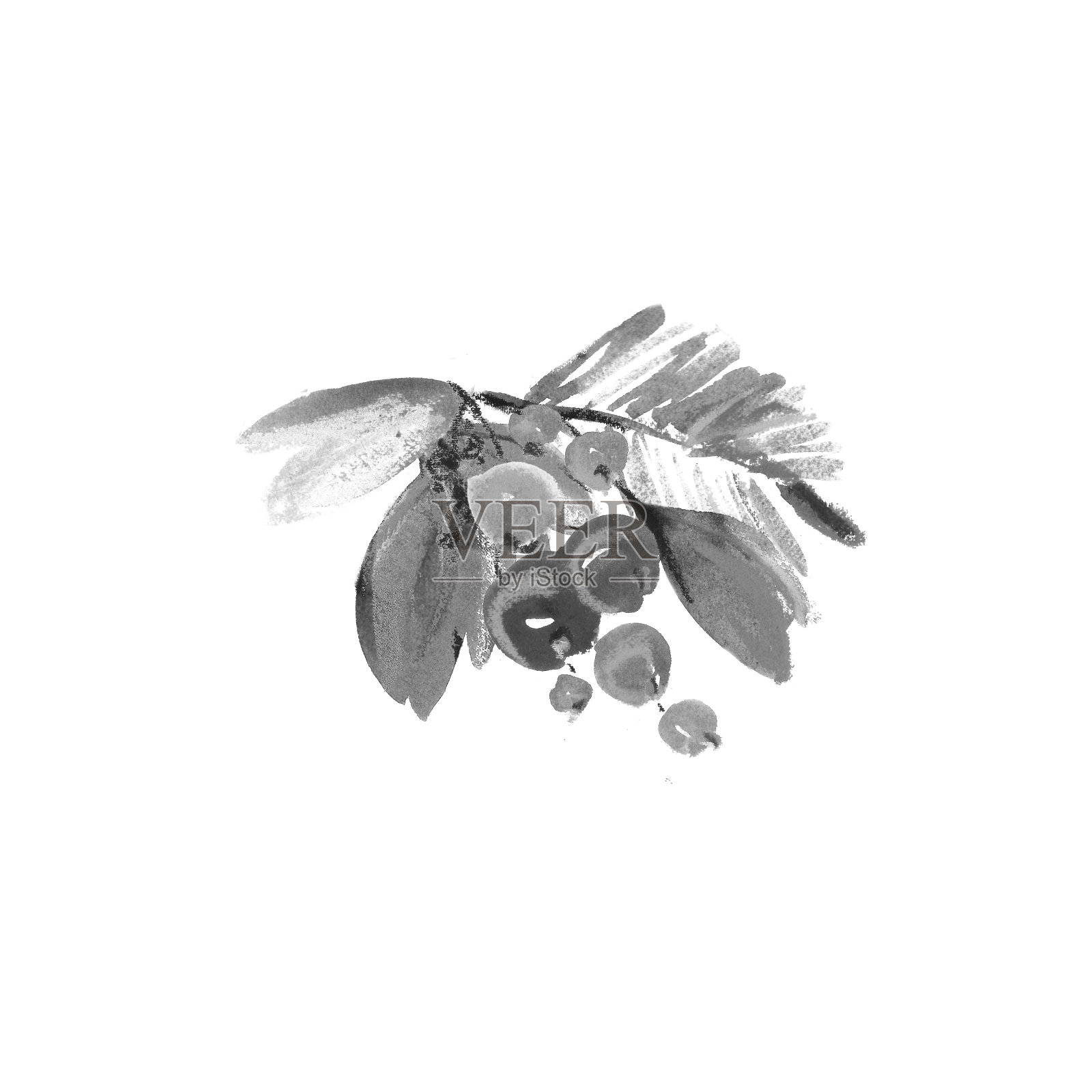 圣诞黑白图案来自冬青浆果，松树的树枝和树叶。插画图片素材
