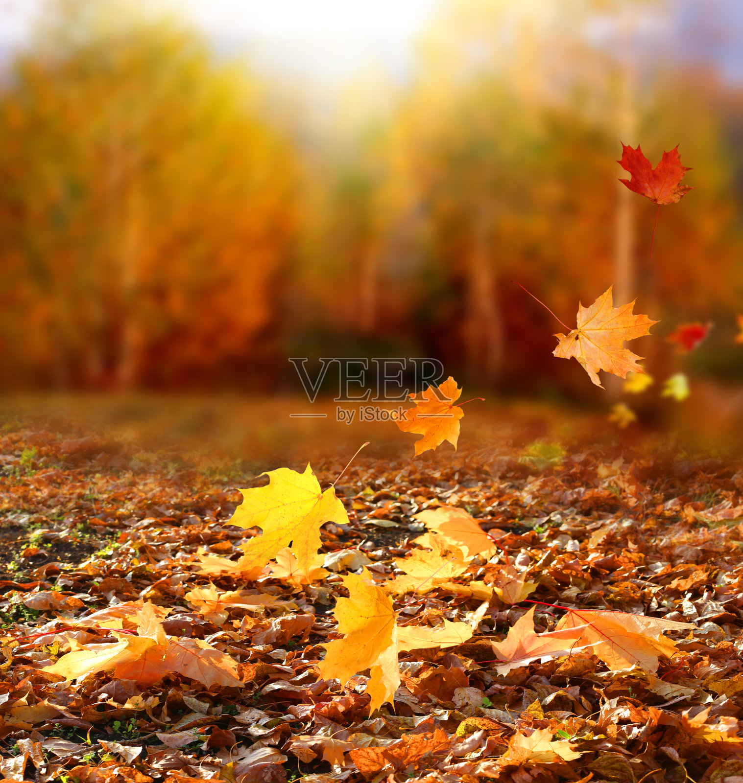 描写景色美的句子_一句描写秋天景色的句子_秋天草原的景色描写