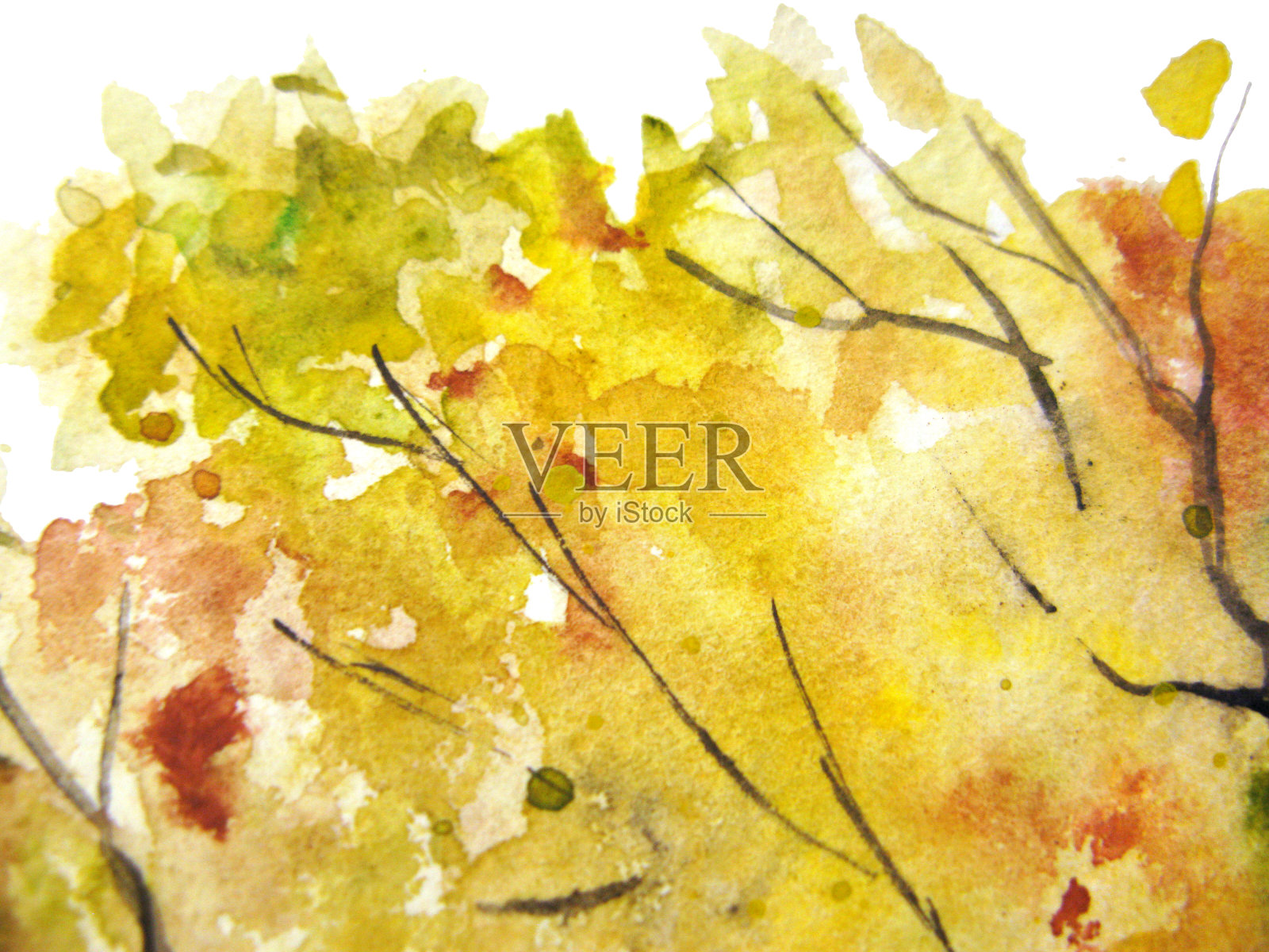 水彩秋色黄橙绿树叶子枝叶纹理背景插画图片素材