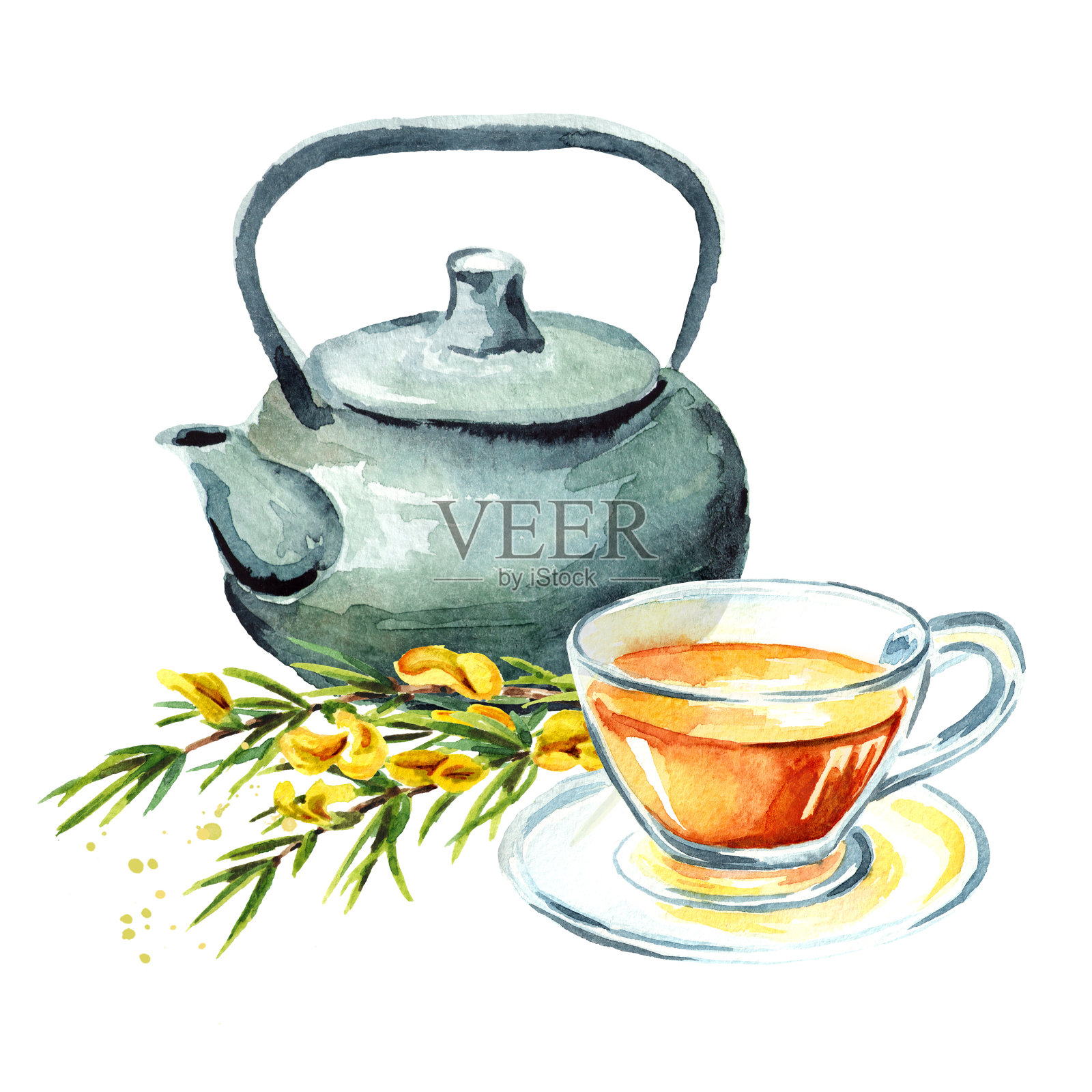 健康有机茶成分，有杯、茶壶和科植物的Rooibos。水彩手绘插图孤立的白色背景插画图片素材