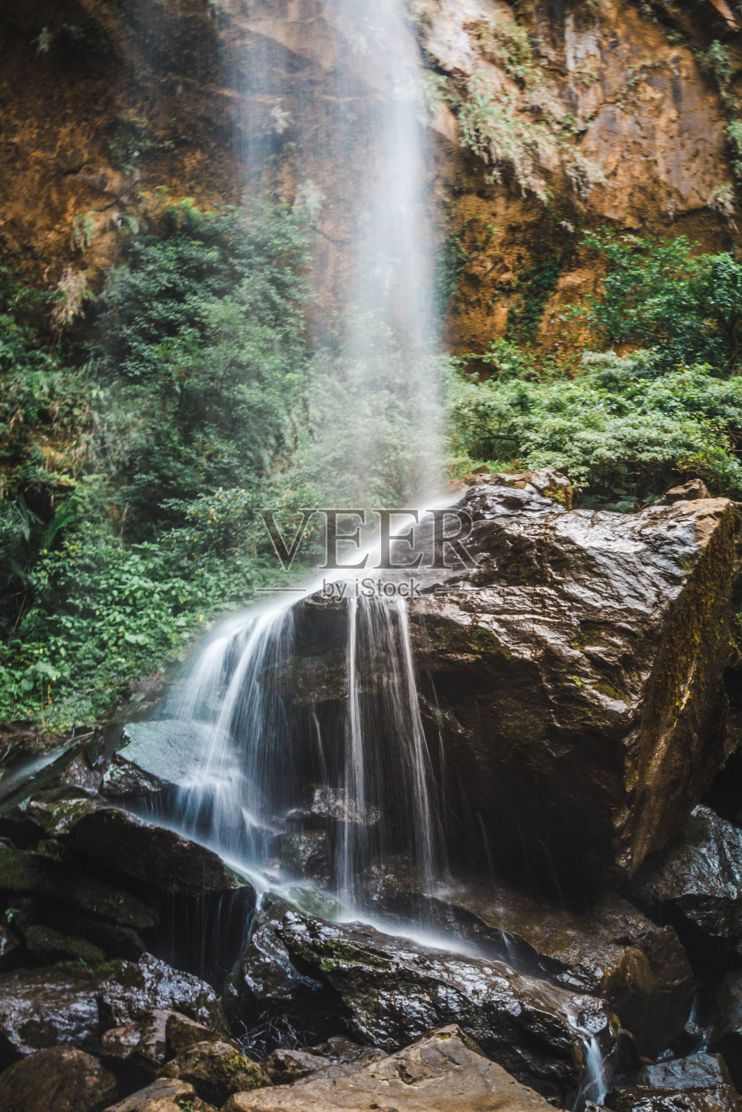 雨林中的瀑布照片摄影图片