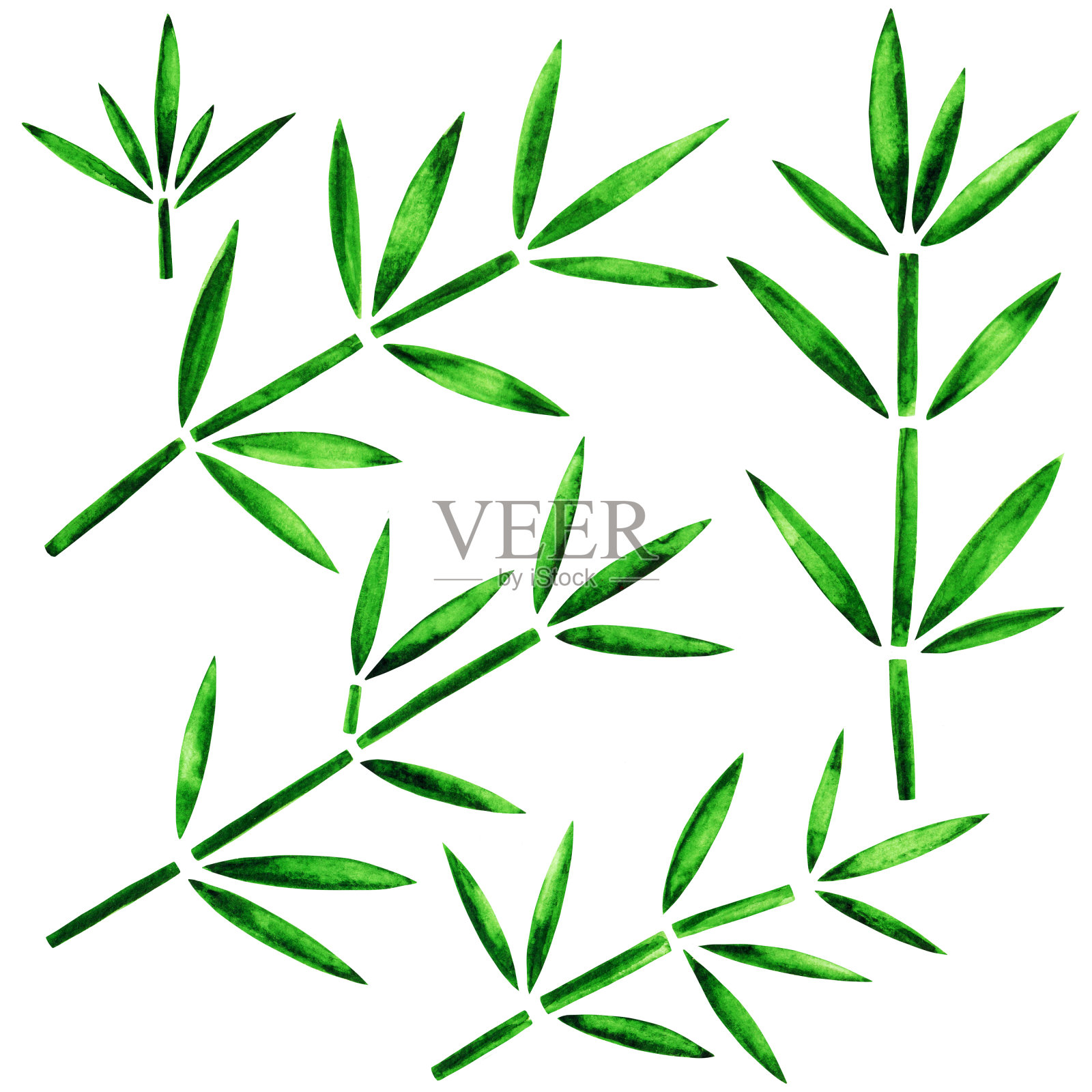 水彩竹枝绿叶插画图片素材