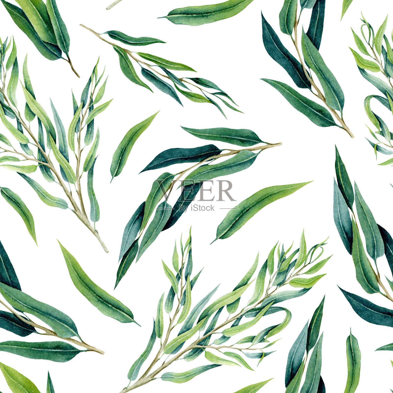 无缝图案水彩绿色桉树叶插画图片素材