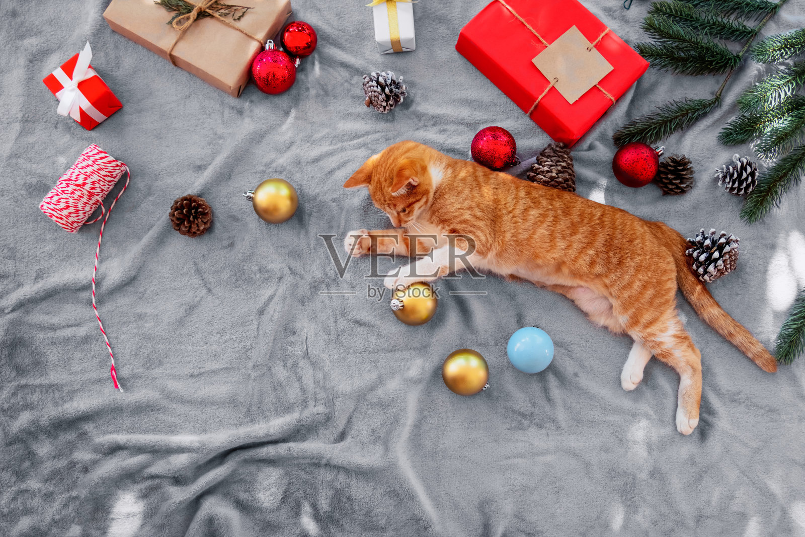 可爱的橙色小猫坐在灰色的地毯上在圣诞节装饰和装饰。照片摄影图片