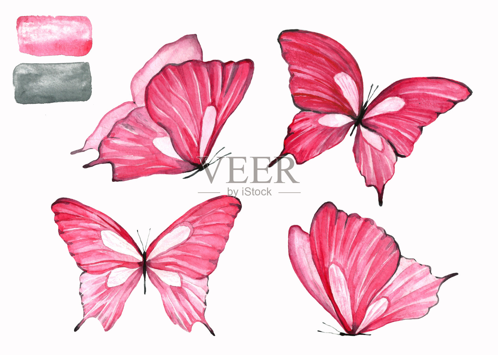 一套粉红色的蝴蝶水彩画。插画图片素材