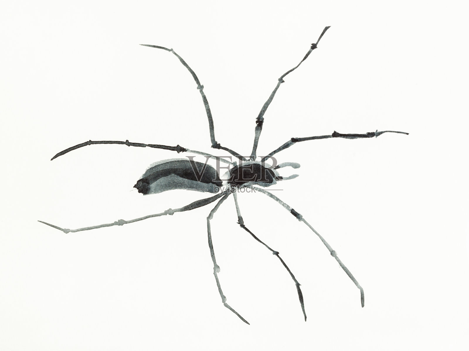 蜘蛛是手绘在奶油纸上的插画图片素材