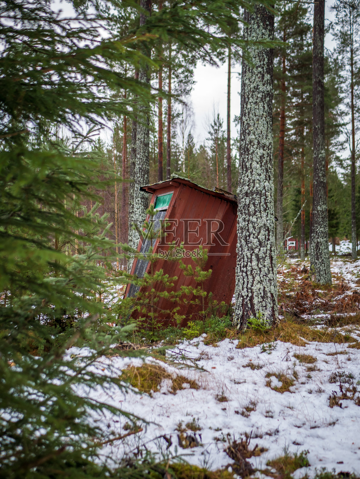 在树林或森林里的老式厕所。照片摄影图片