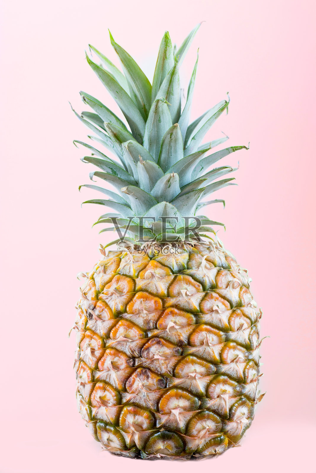 粉红色背景上的菠萝照片摄影图片