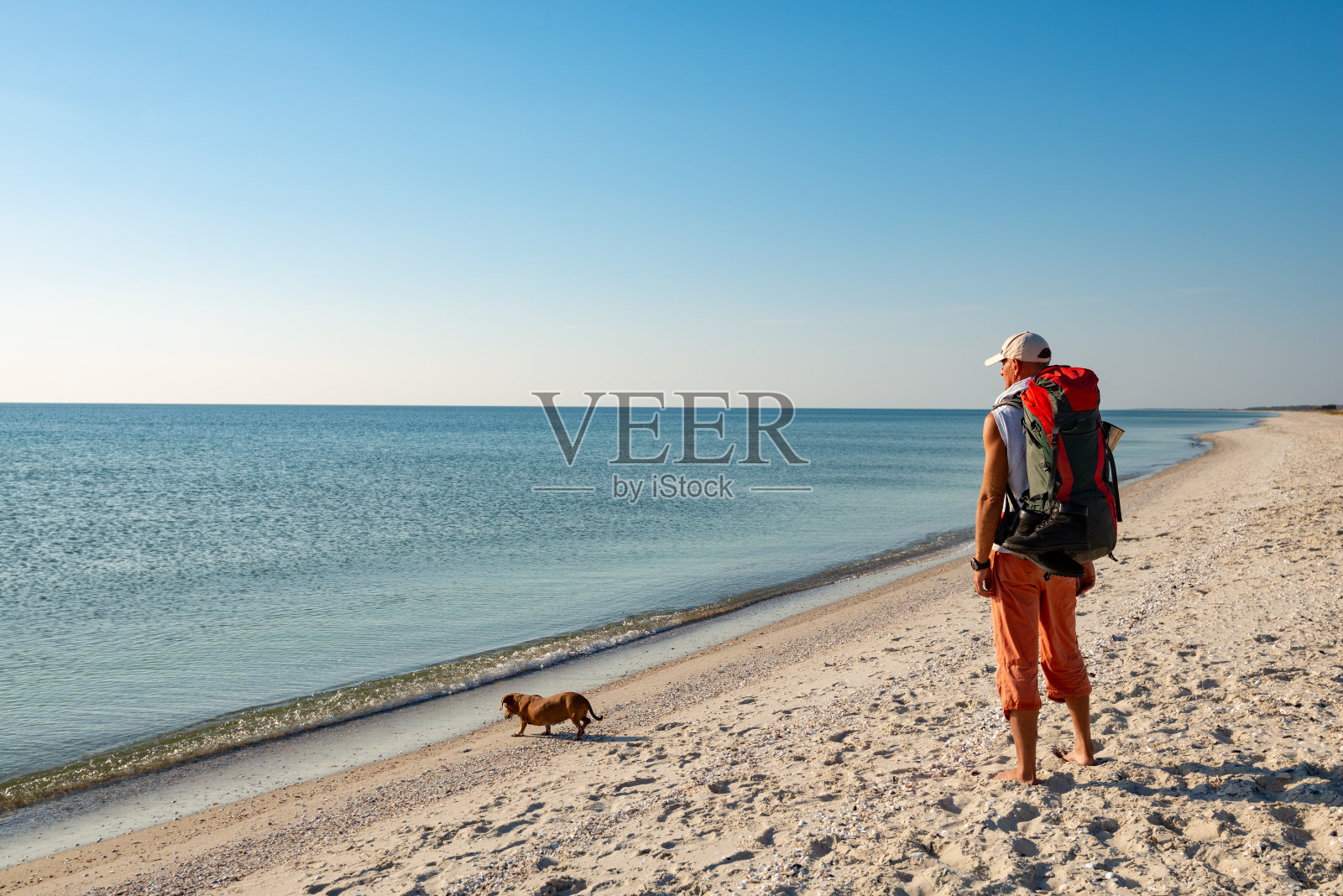 旅行者和滑稽的狗站在荒芜的海滩上照片摄影图片