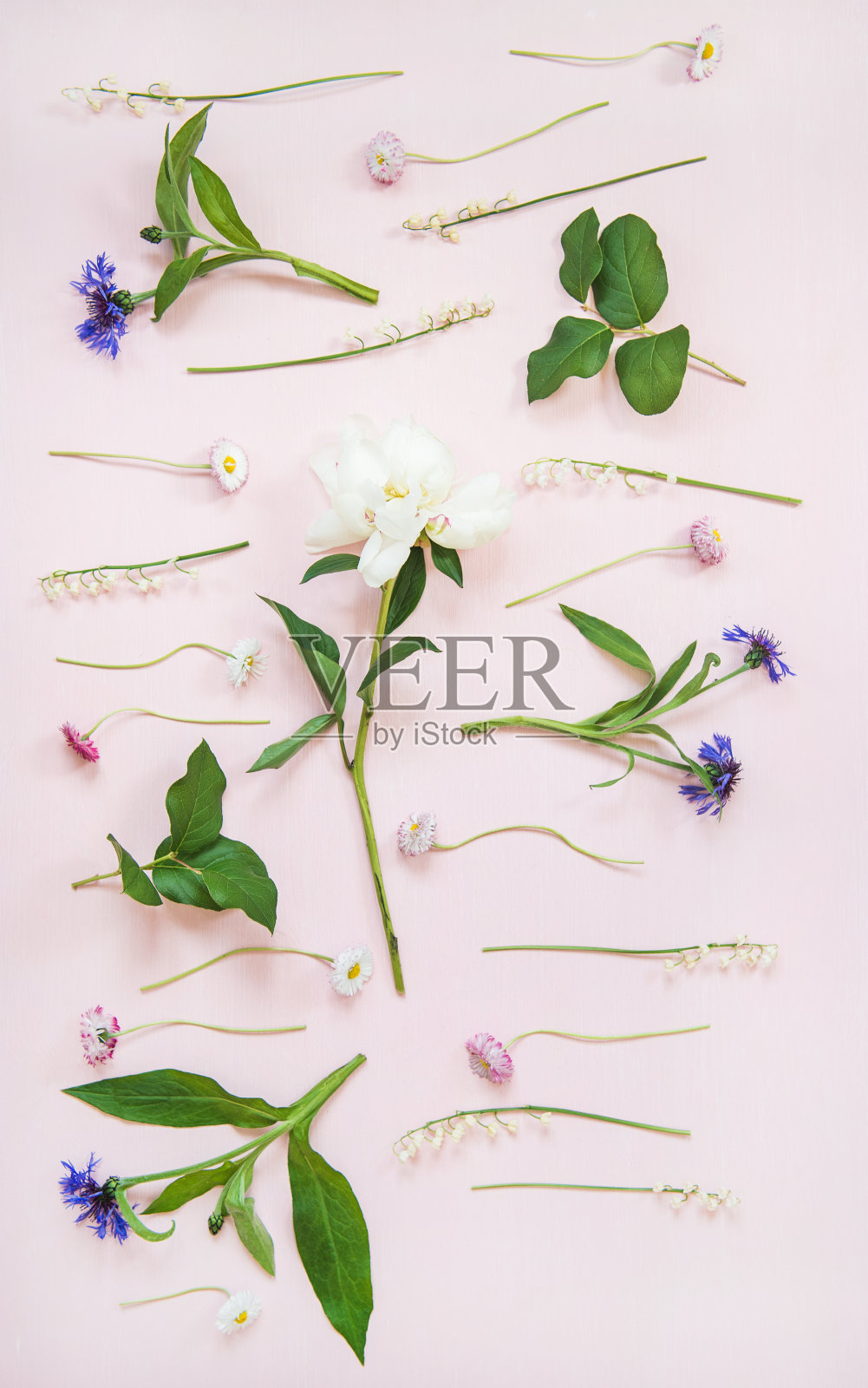 平铺的山谷百合花、矢车菊、雏菊、牡丹等园林花卉，垂直构成照片摄影图片