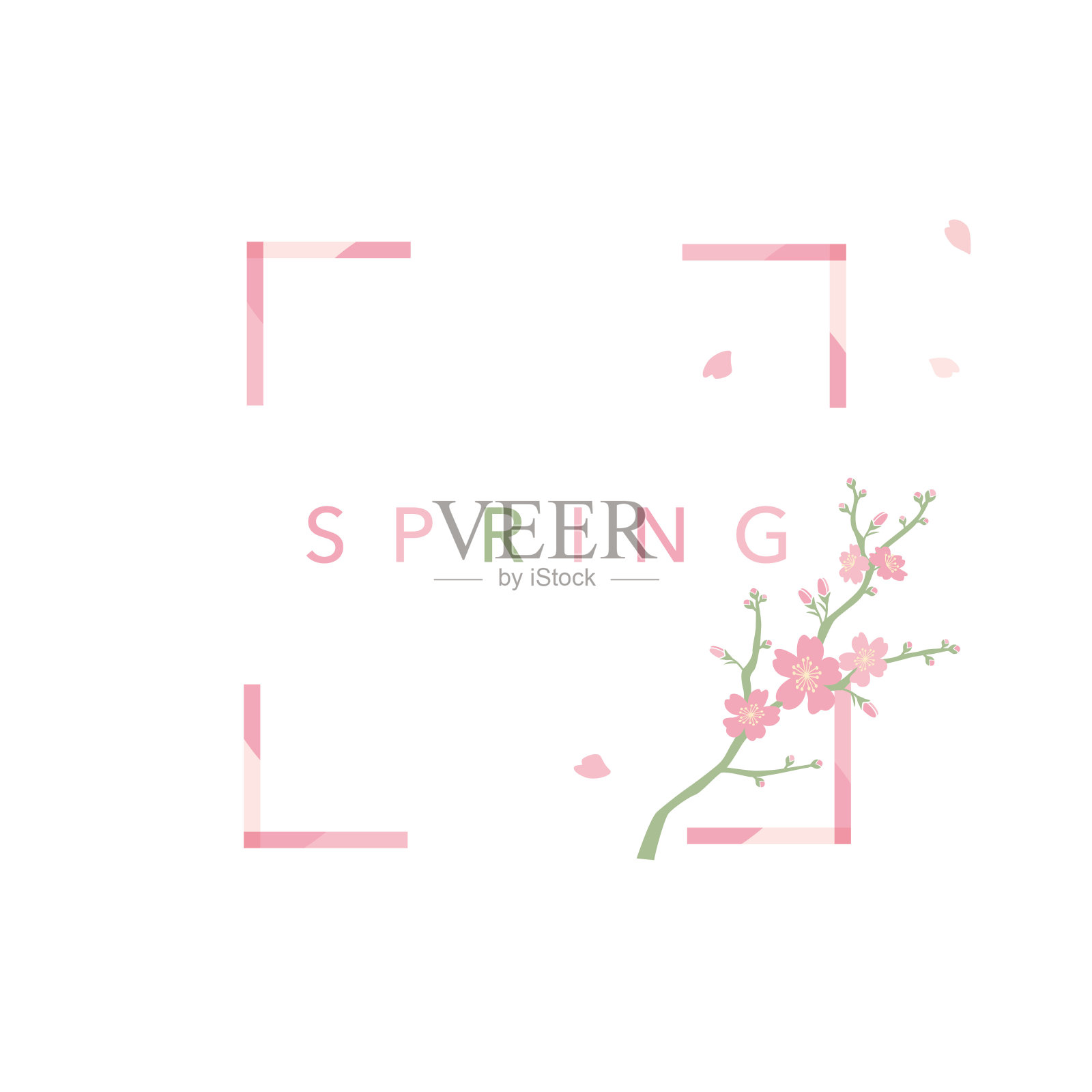 Cherry blossoms frame illustration, Vector background插画图片素材
