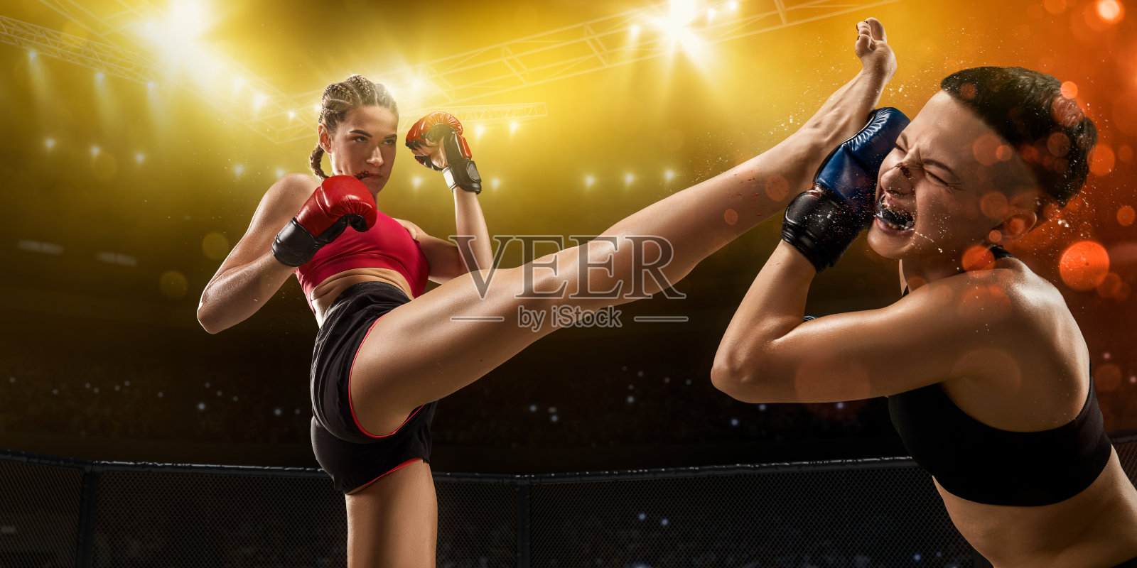 职业拳击场上的女子综合格斗选手照片摄影图片