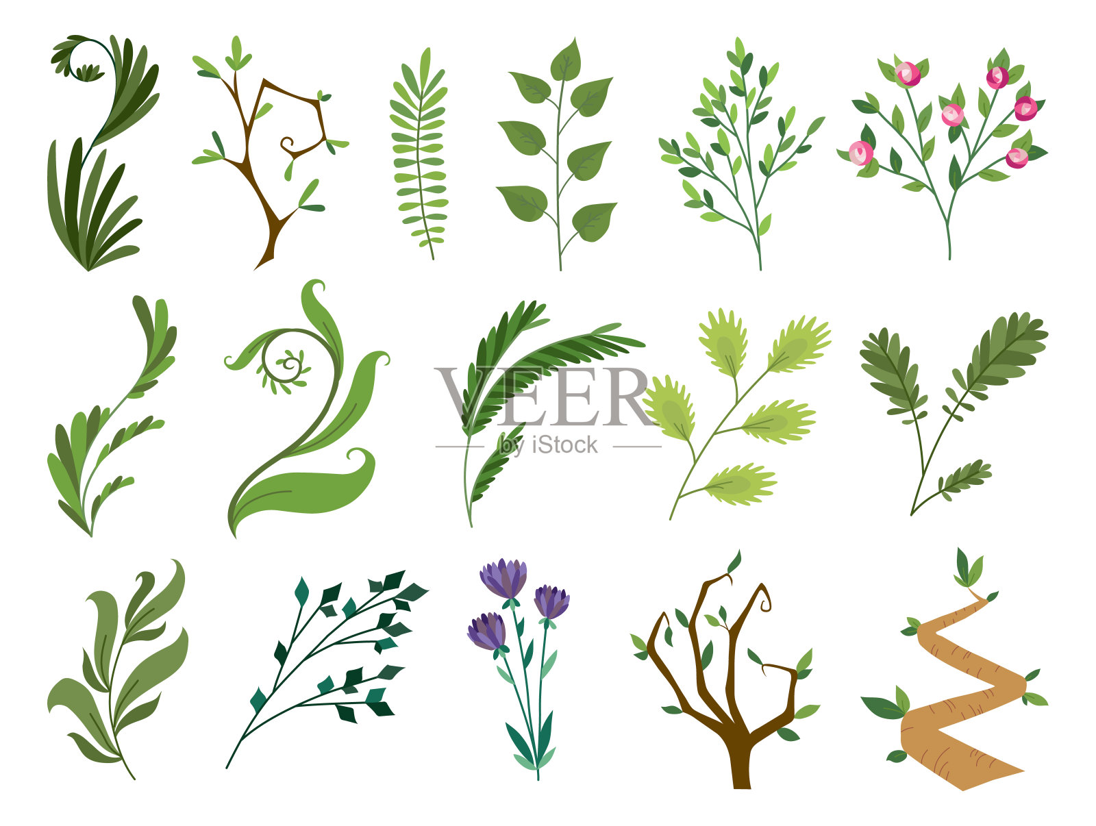 向量设计师元素集合了绿色森林蕨类，热带绿色桉树绿叶艺术树叶，天然树叶草本植物，玫瑰，花卉水彩画风格。插图设计插画图片素材