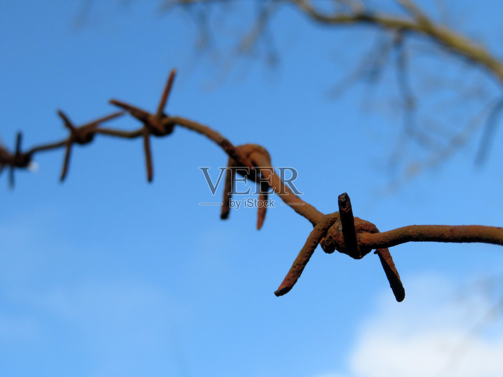 锈迹斑斑的铁丝网映衬着蓝天、白云和光秃秃的树枝照片摄影图片