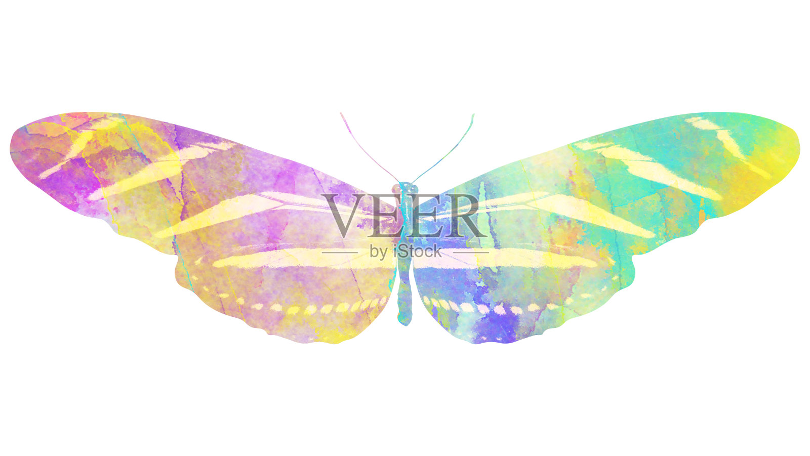水彩蝴蝶。用于设计的热带昆虫。在白色背景上隔离插画图片素材