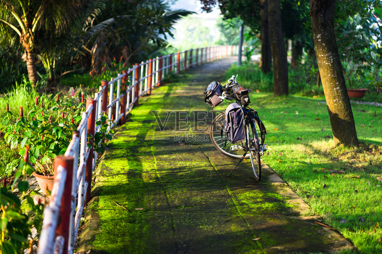 自行车在绿色的小路上照片摄影图片