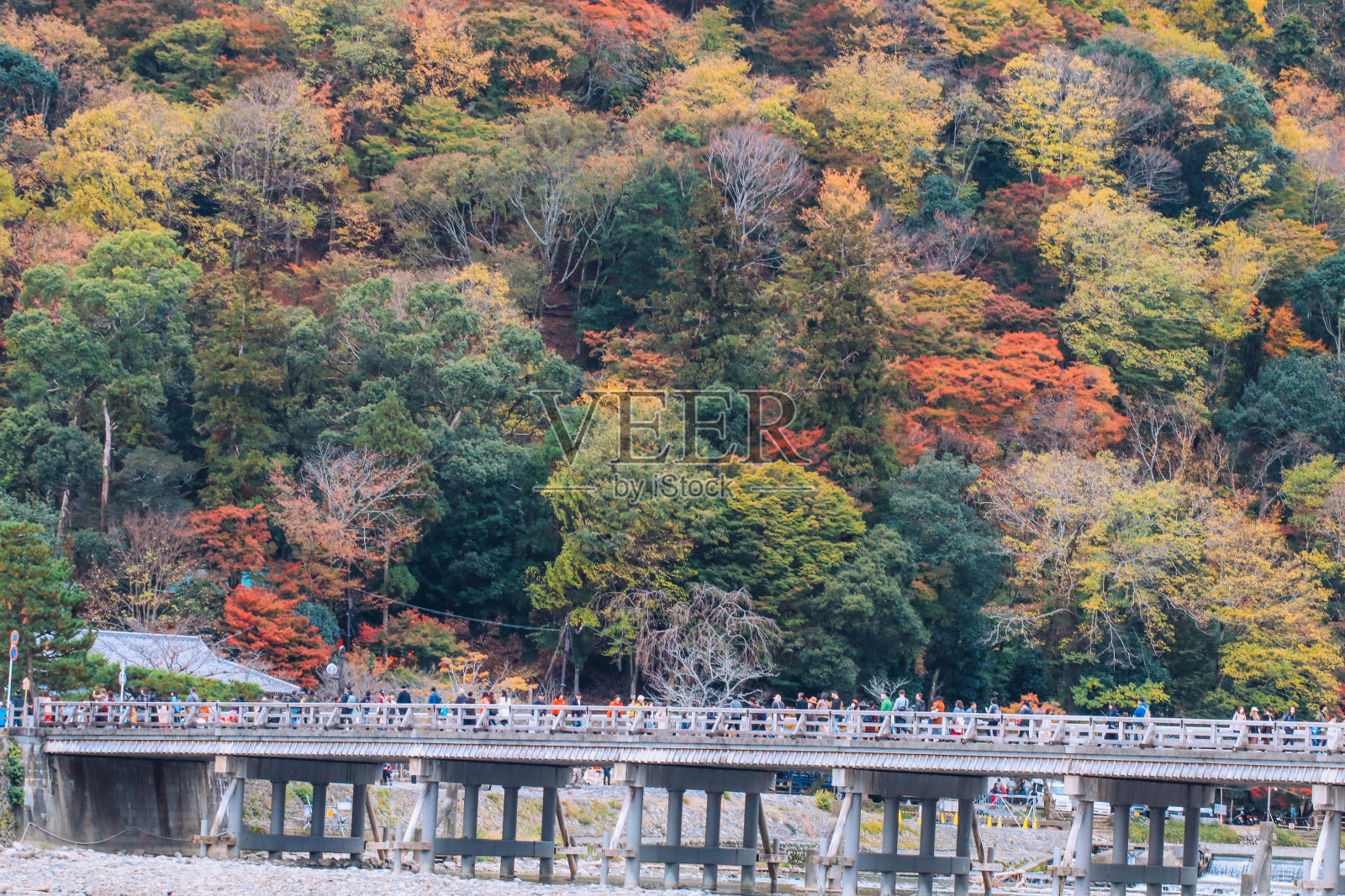 日本京都岚山美丽的聚月桥，秋天的季节。照片摄影图片