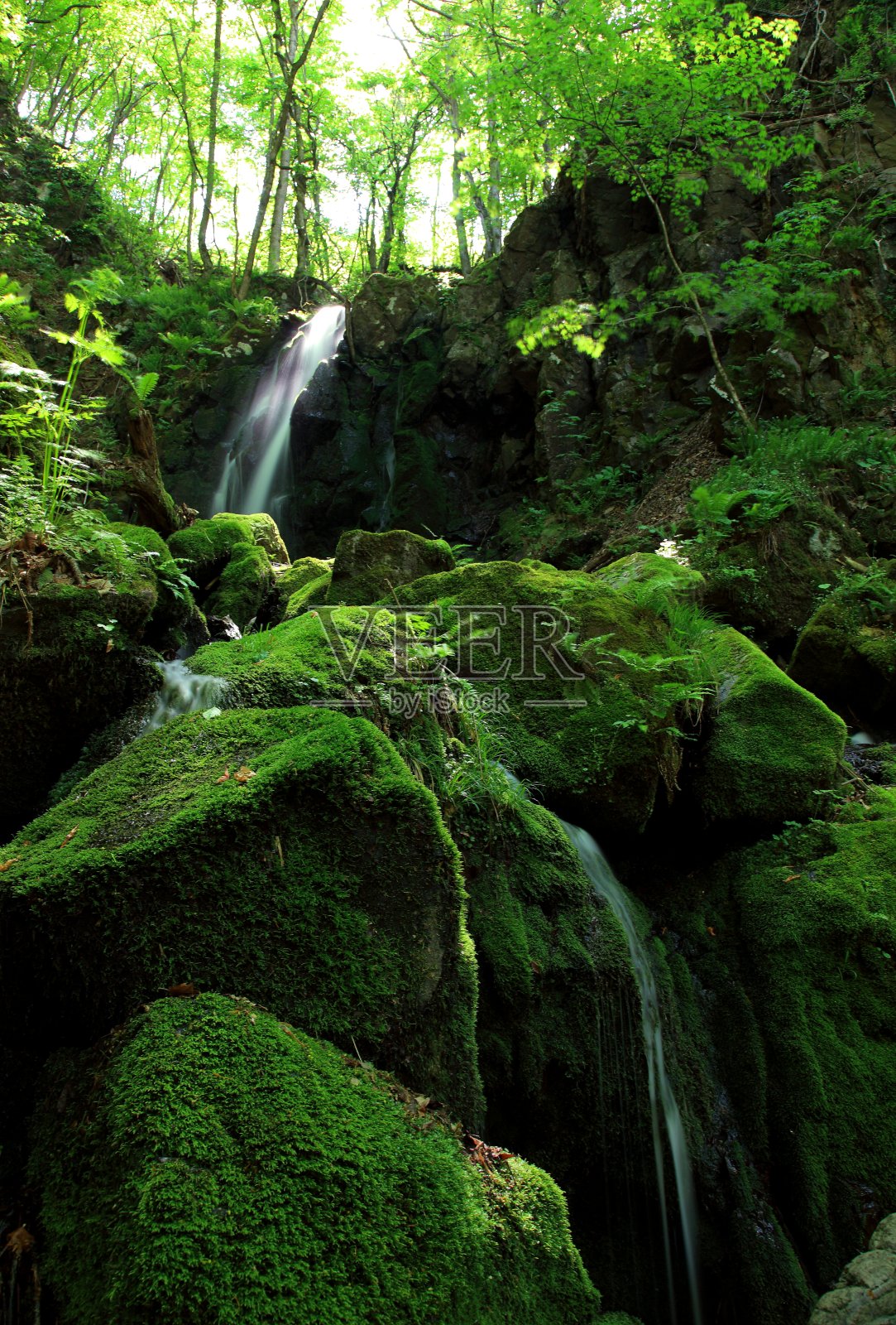 鲜绿的瀑布照片摄影图片