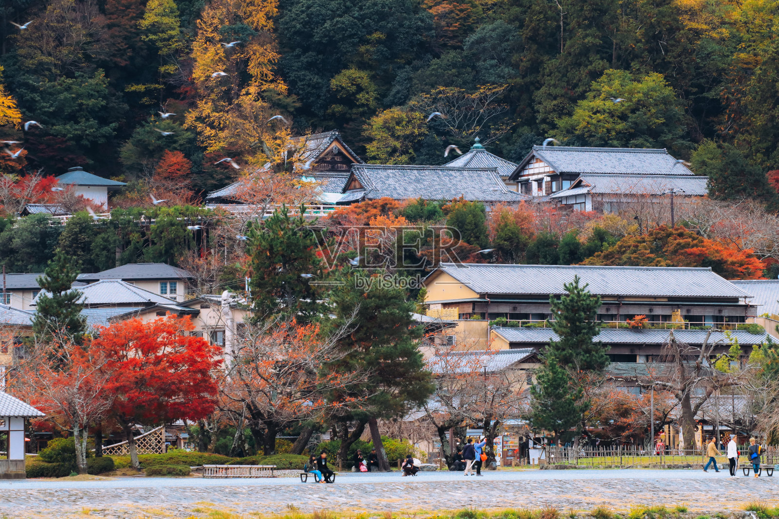 美丽的岚山老城在秋天的季节在日本京都。照片摄影图片