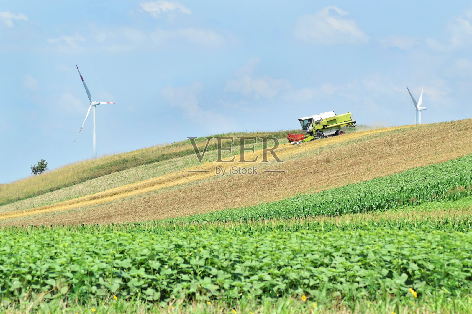 春季在田间作业的联合收割机和远处的风力涡轮机照片摄影图片