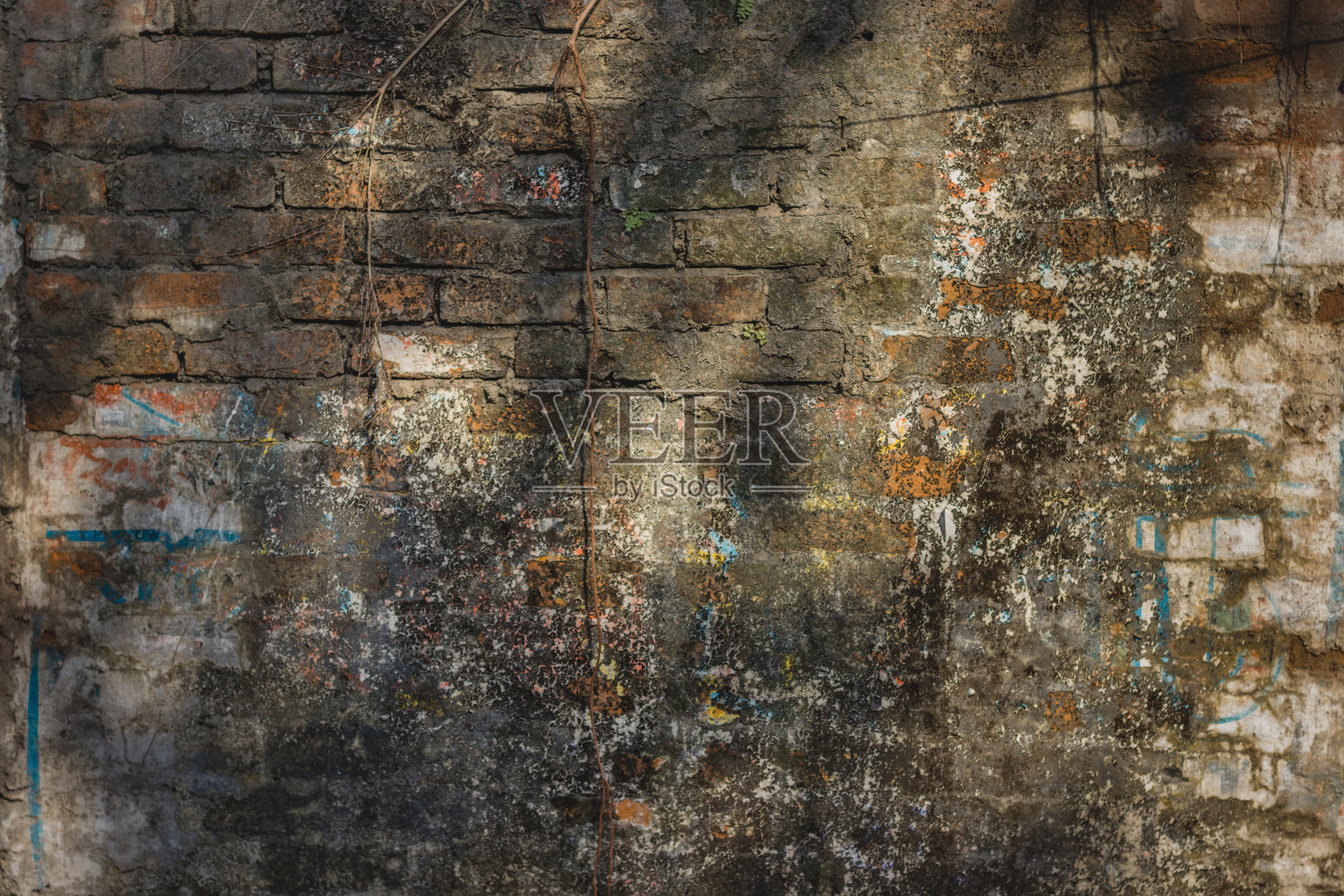 抽象的背景是破旧的砖墙，上面有污迹和干藻照片摄影图片