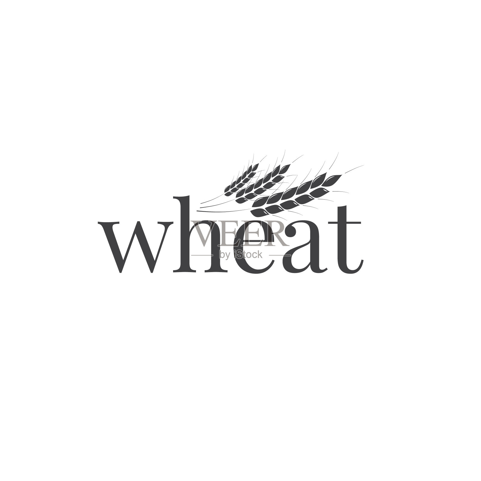 小麦的标志。小麦印刷和小麦穗。业务设计模板插画图片素材
