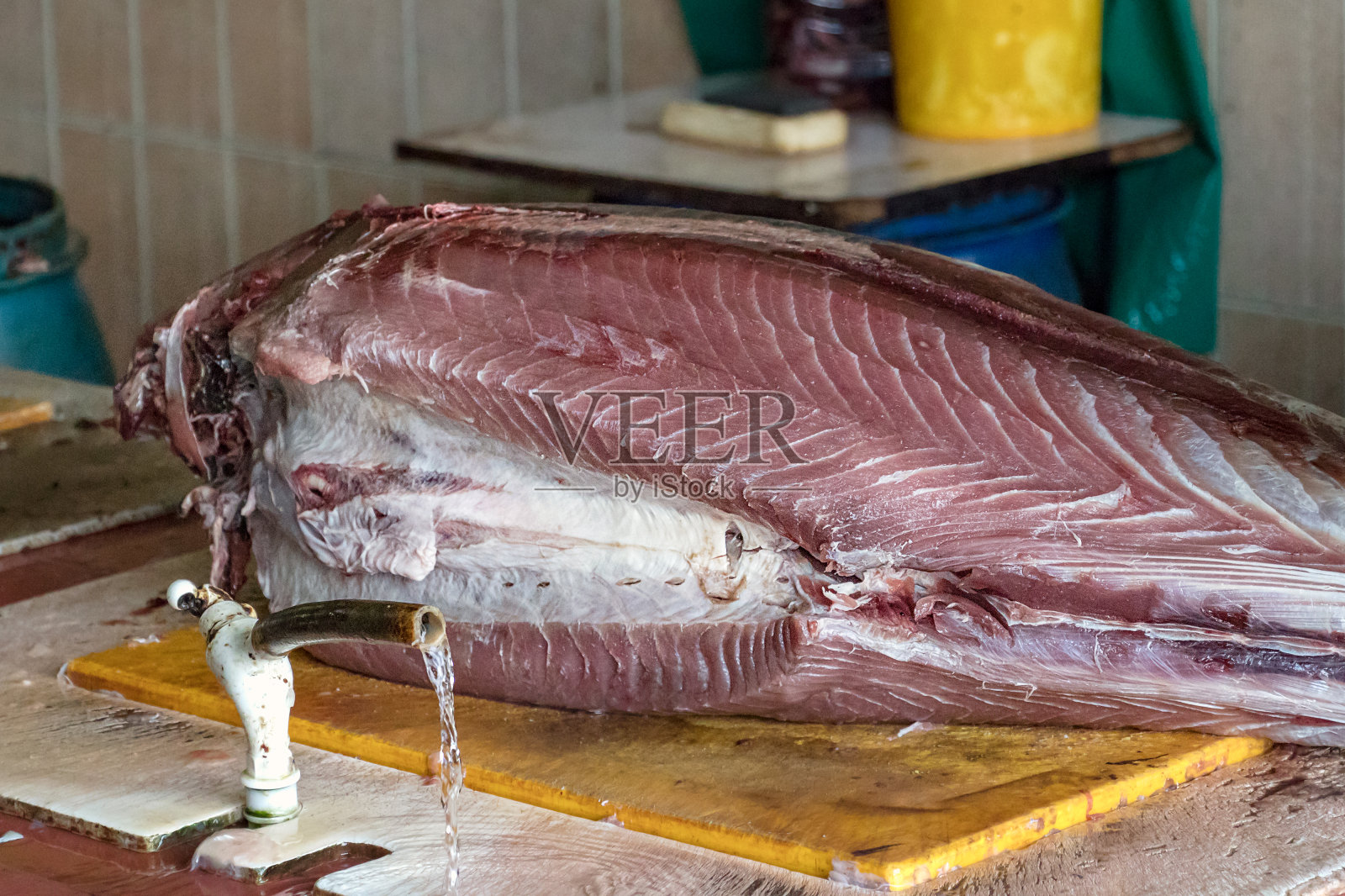 马尔代夫马累鱼市的切割台上，一条生的大金枪鱼照片摄影图片