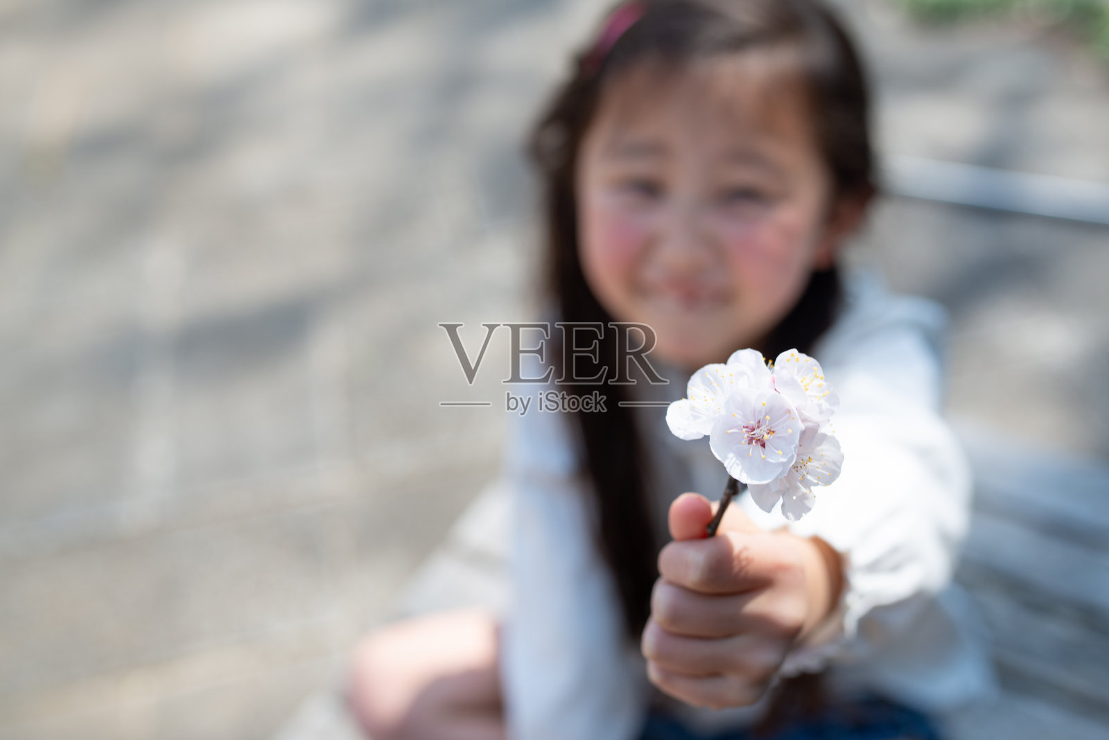 女孩送一朵白花照片摄影图片