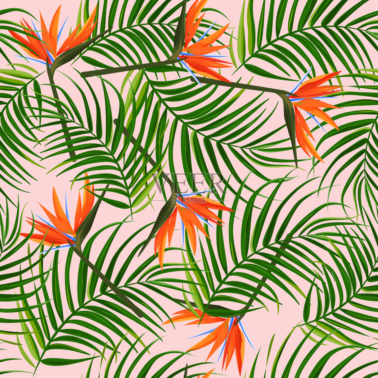 明亮的热带背景。棕榈叶与天堂鸟(strelitzia)无缝图案。插画图片素材