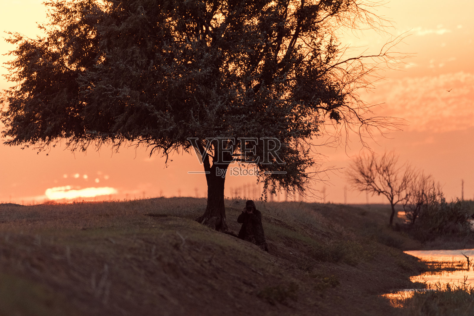 Chyornye Zemli(黑地)自然保护区的日落照片摄影图片