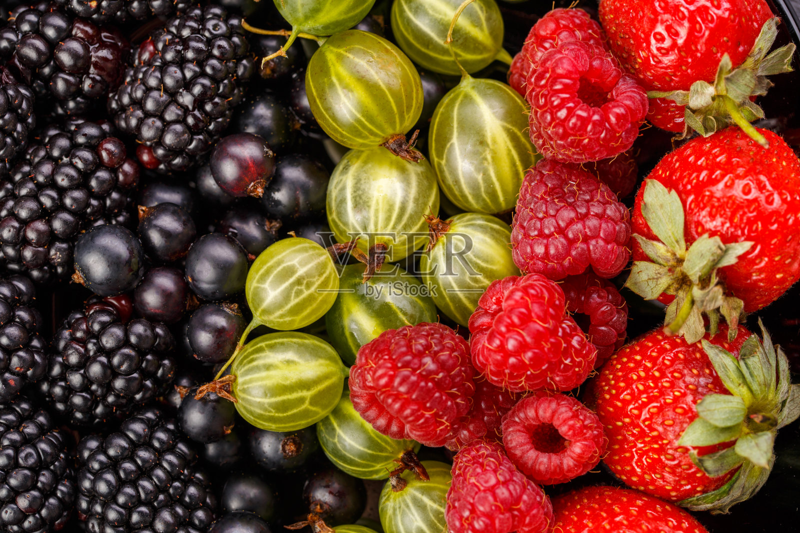 黑莓，草莓，覆盆子，醋栗，黑醋栗的形象照片摄影图片
