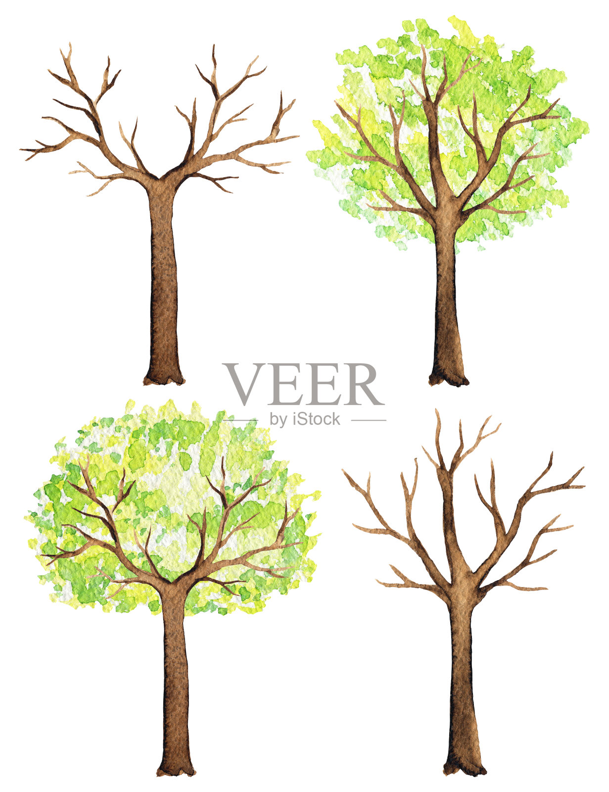 水彩画的树木有和没有绿色的叶子设计元素图片