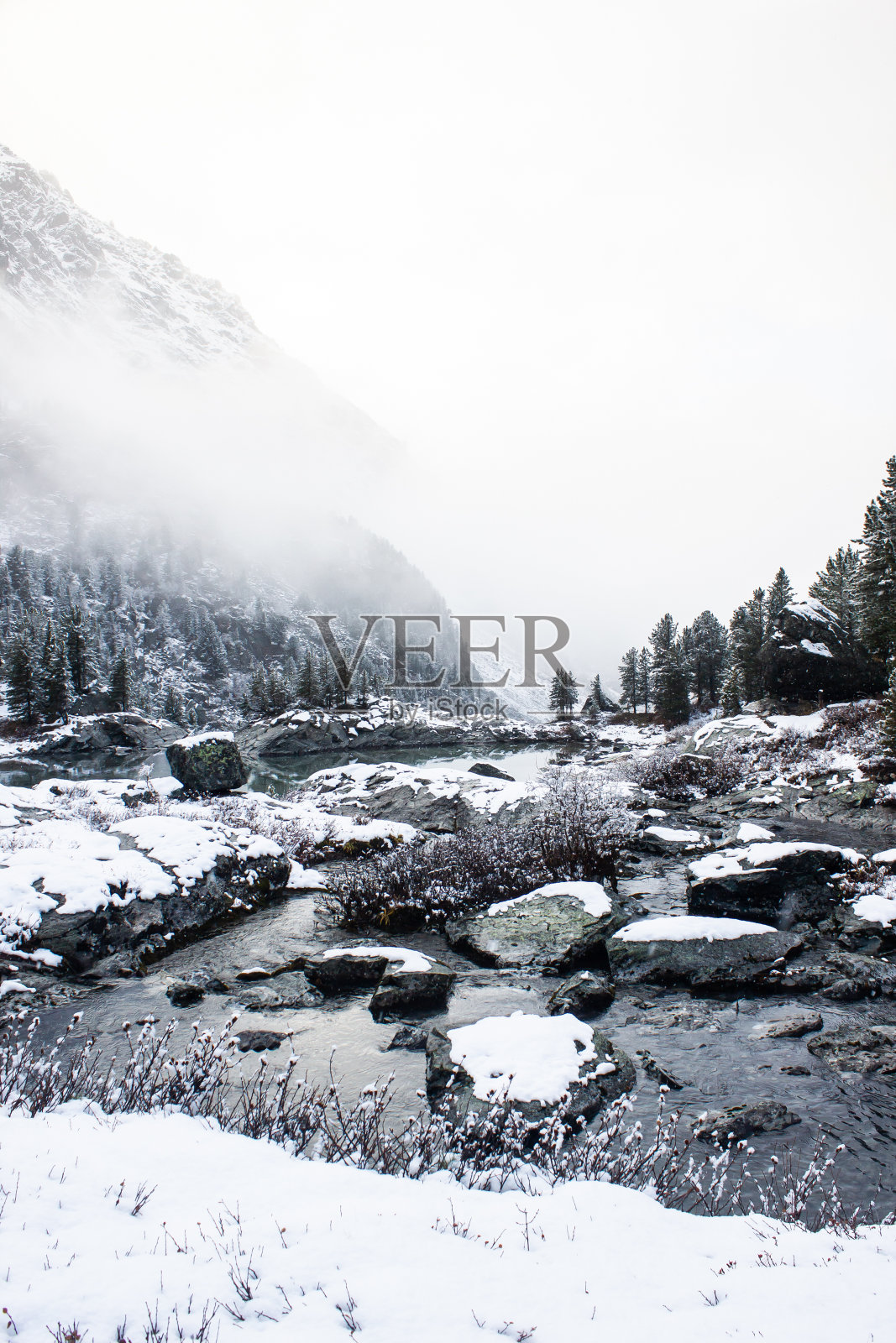 冰雪覆盖的山河和松树。冬天的山照片摄影图片