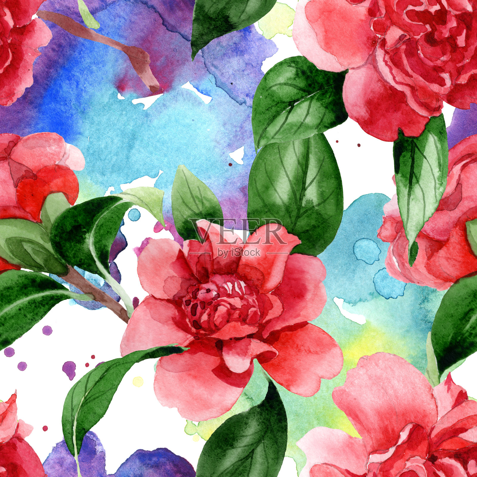 粉红色的山茶属植物花。水彩背景插图集。无缝的背景图案。插画图片素材