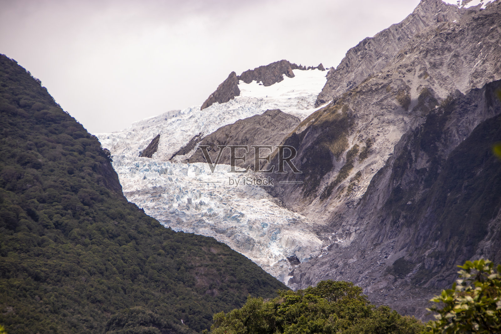 新西兰的弗朗茨·约瑟夫冰川照片摄影图片