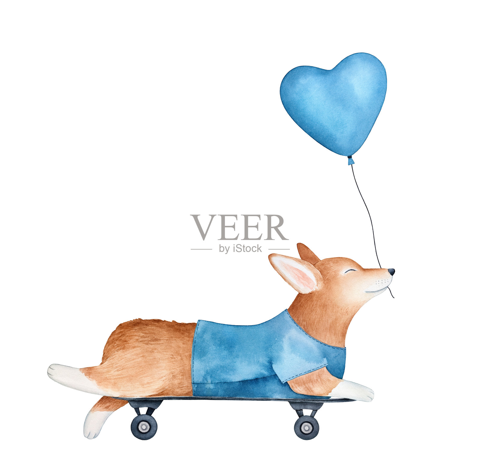 在滑板上微笑的威尔士柯基小狗人物，拿着心形的气球。手绘水彩在白色的背景。有趣，积极和节日素描海报，横幅，印刷。插画图片素材
