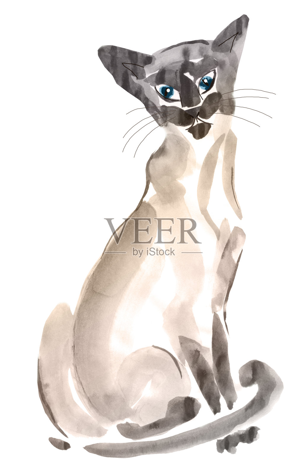 手绘坐猫与蓝色眼睛孤立在白色的背景插画图片素材