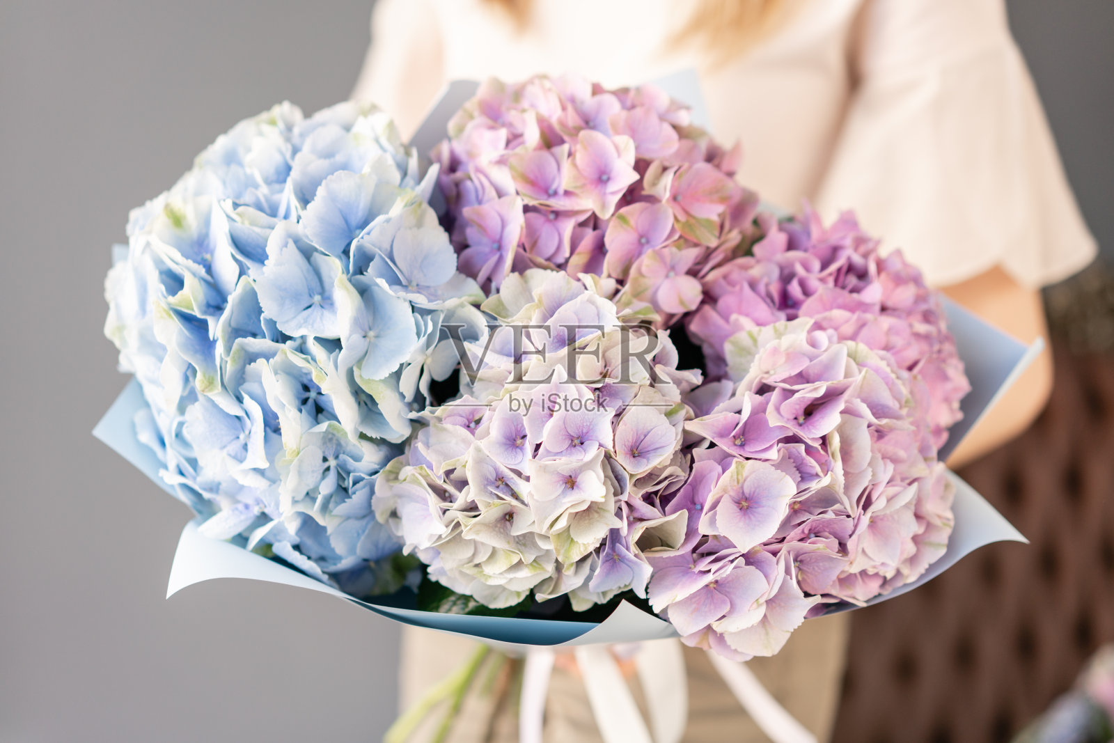 女人手里拿着一束漂亮的绣球花。花店概念。漂亮的新鲜花束。鲜花交付照片摄影图片