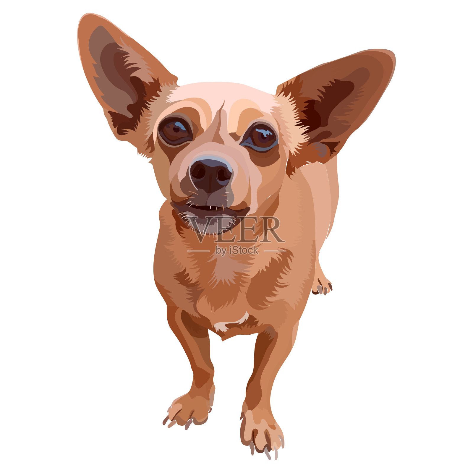 矢量插图的一个光滑的头发和大眼睛的小狗插画图片素材