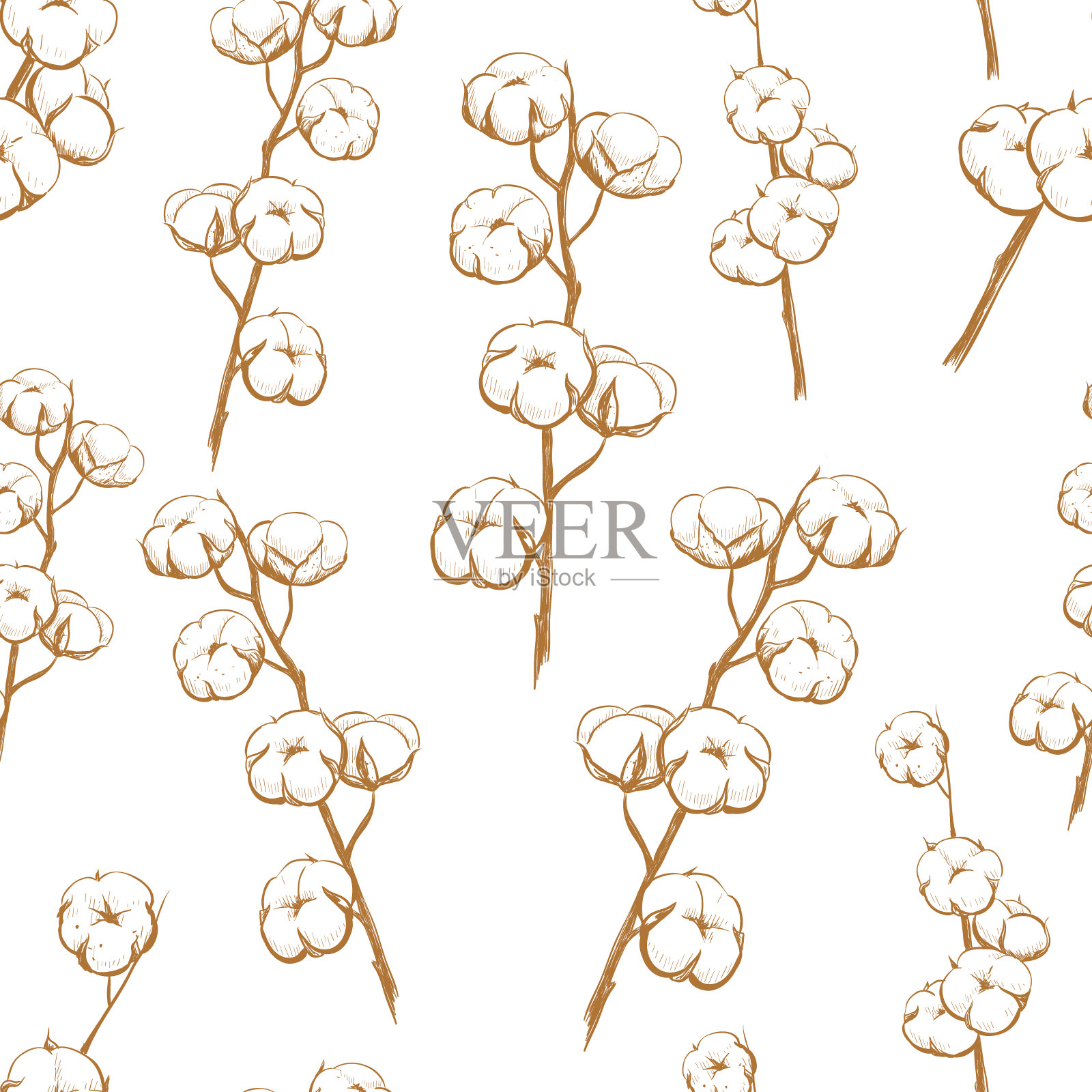 棉花植物无缝图案。插画图片素材