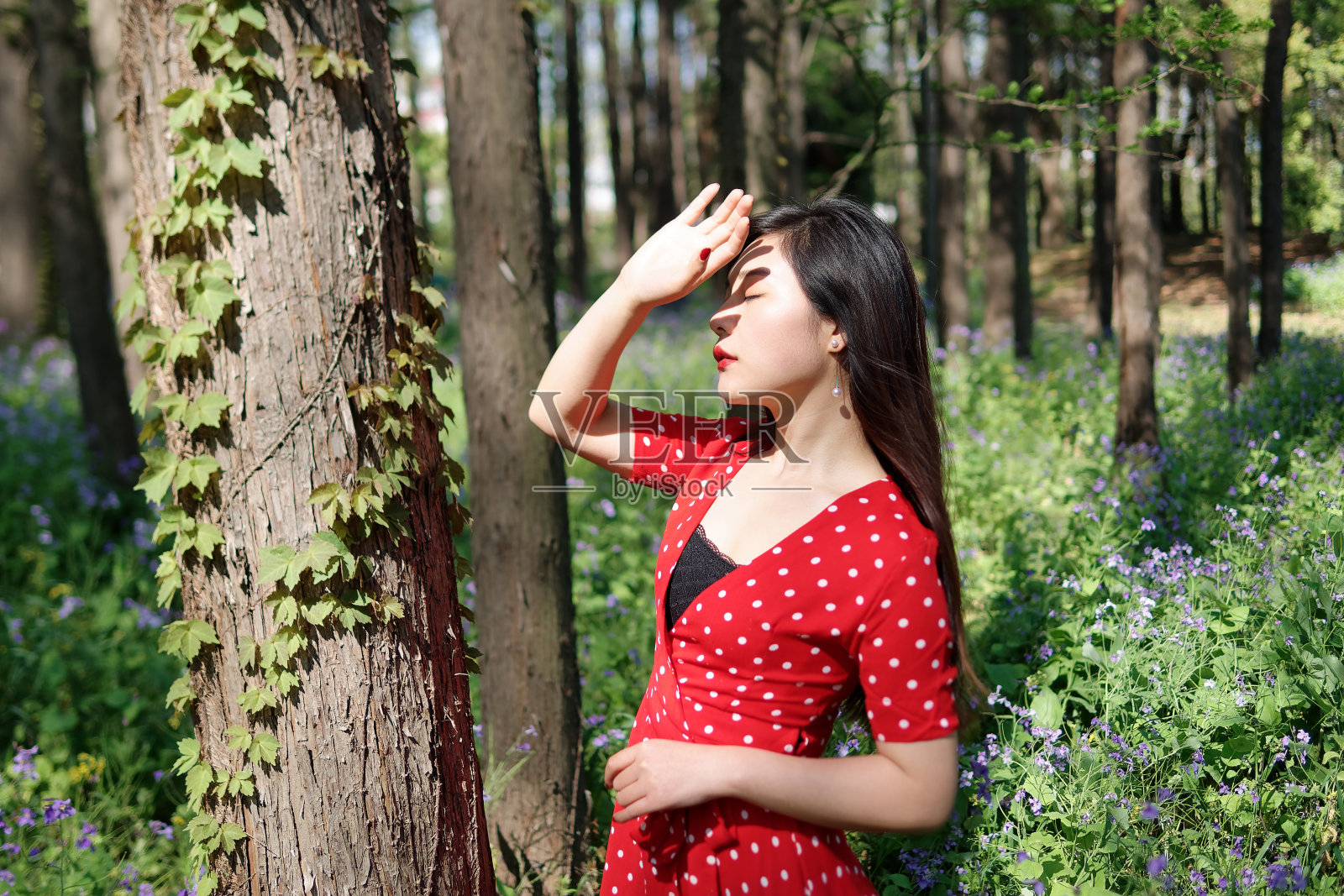 画像美丽的年轻女子在红色的连衣裙站在森林公园在阳光明媚的夏天手挡住太阳的光。户外时尚写真魅力中国时尚淑女。照片摄影图片