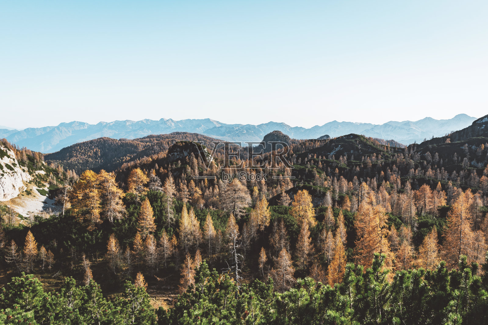 秋天的森林在山上变换着颜色照片摄影图片