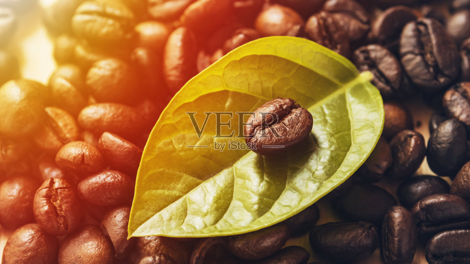 近距离的咖啡豆和树叶放在木桌上。照片摄影图片