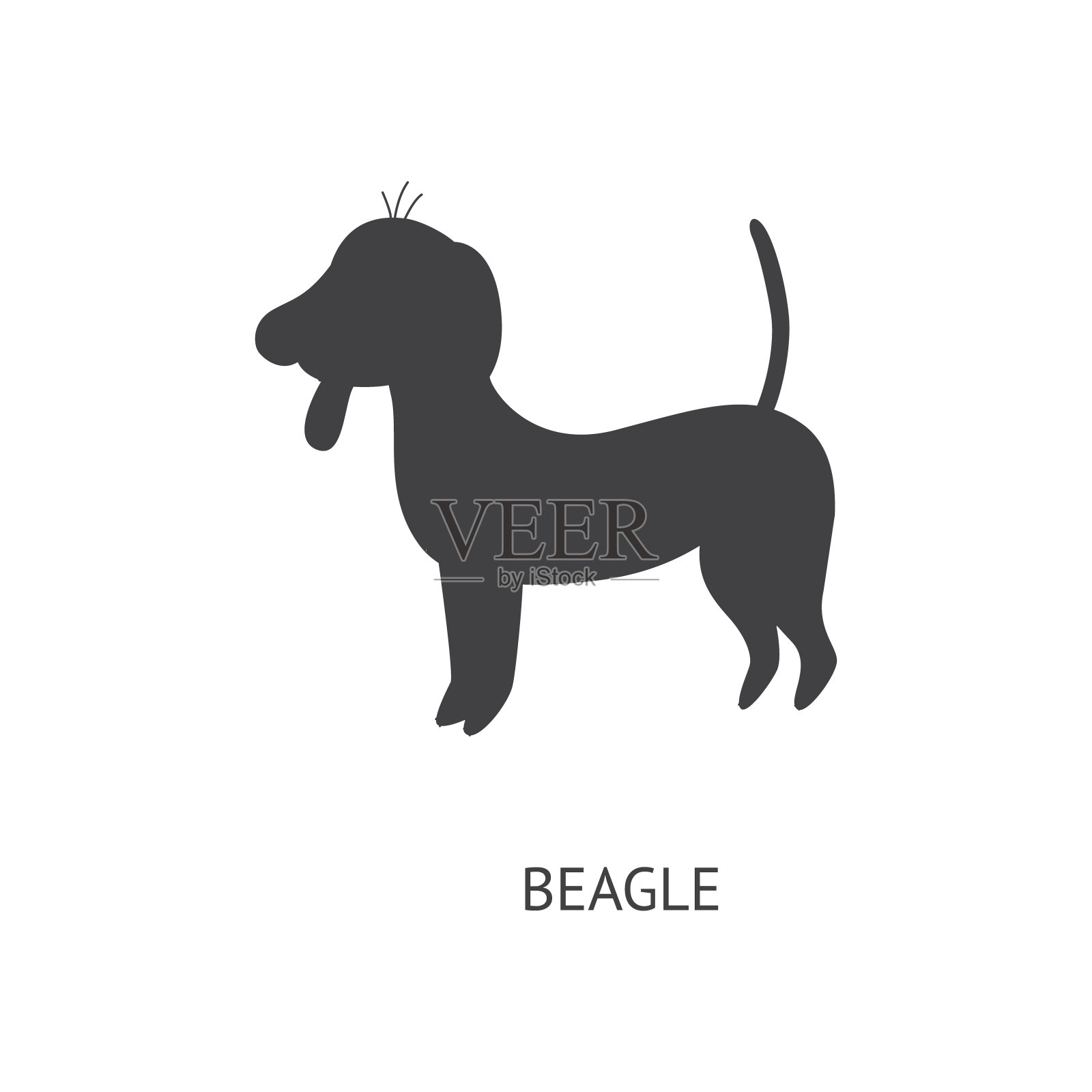 比格犬或幼犬在侧面黑色剪影矢量插图孤立。插画图片素材