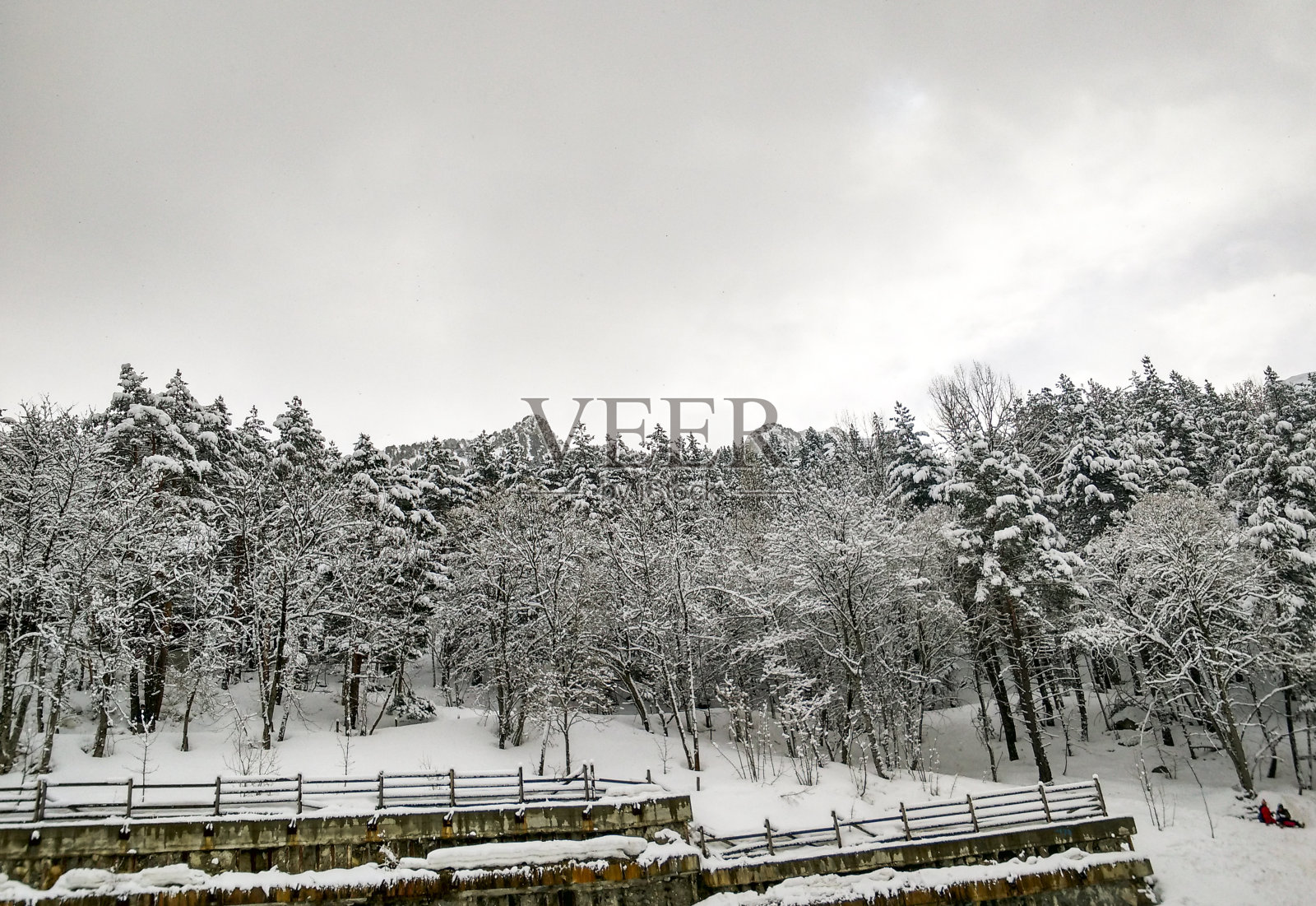 冬季雪景(西班牙)照片摄影图片