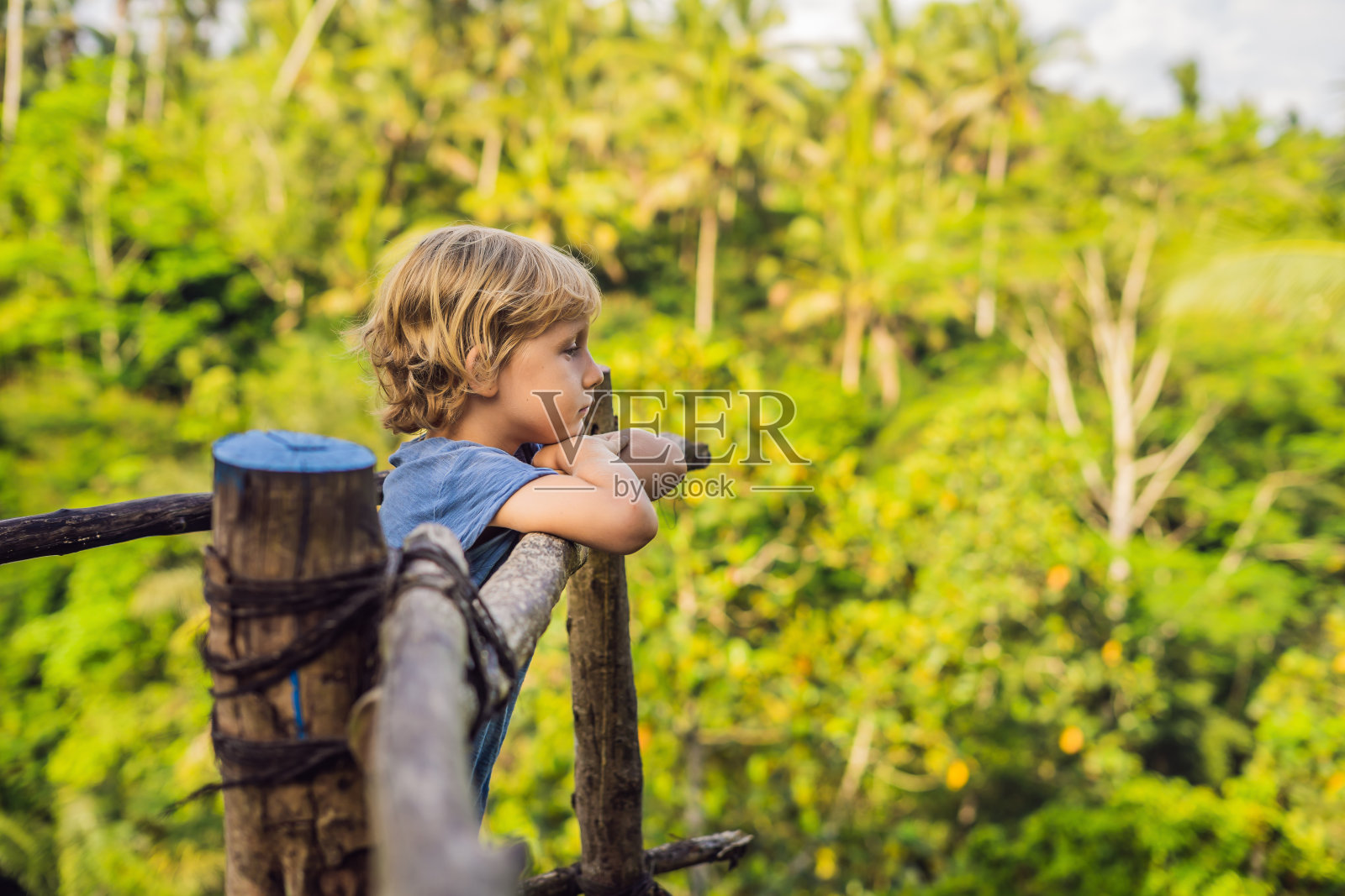 男孩旅行者在印度尼西亚巴厘岛的丛林背景中的观点照片摄影图片